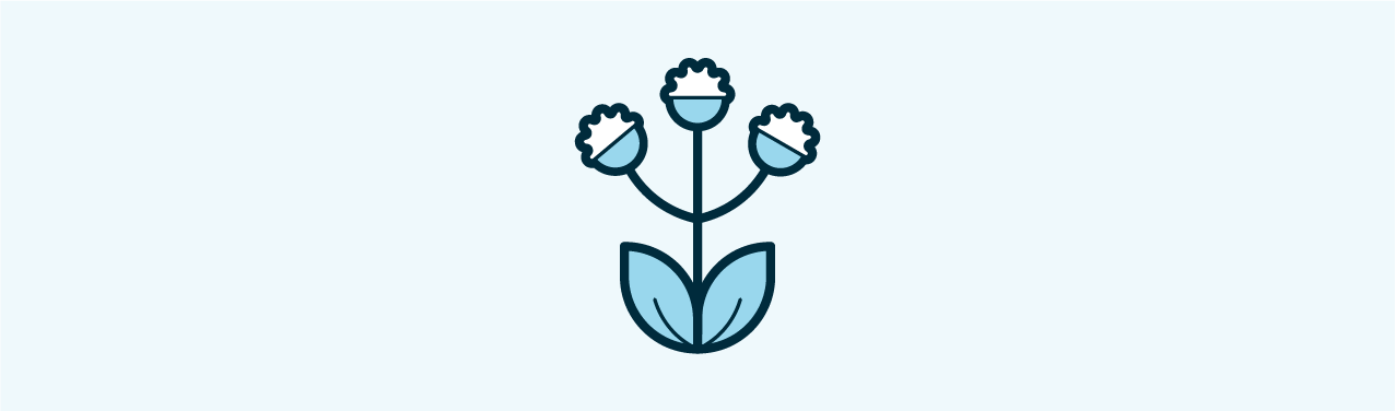 Natural Environment Icon