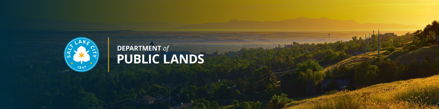 View from Salt Lake City Foothills