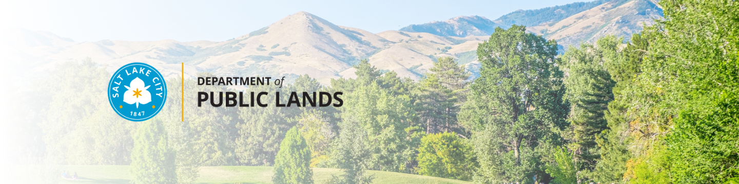 Trees with a mountain view